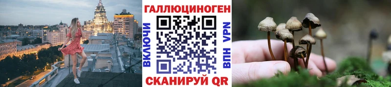 Галлюциногенные грибы Cubensis  Урюпинск 